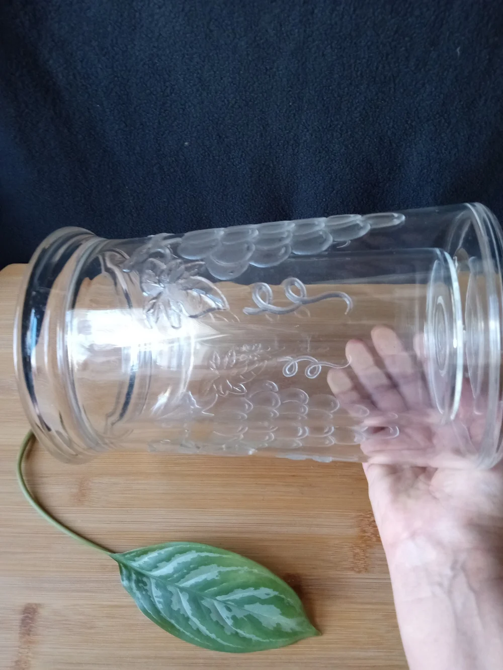 ICELESS WINE CHILLER PRODYNE COOLER Clear Acrylic Double Walled Grapevine Design